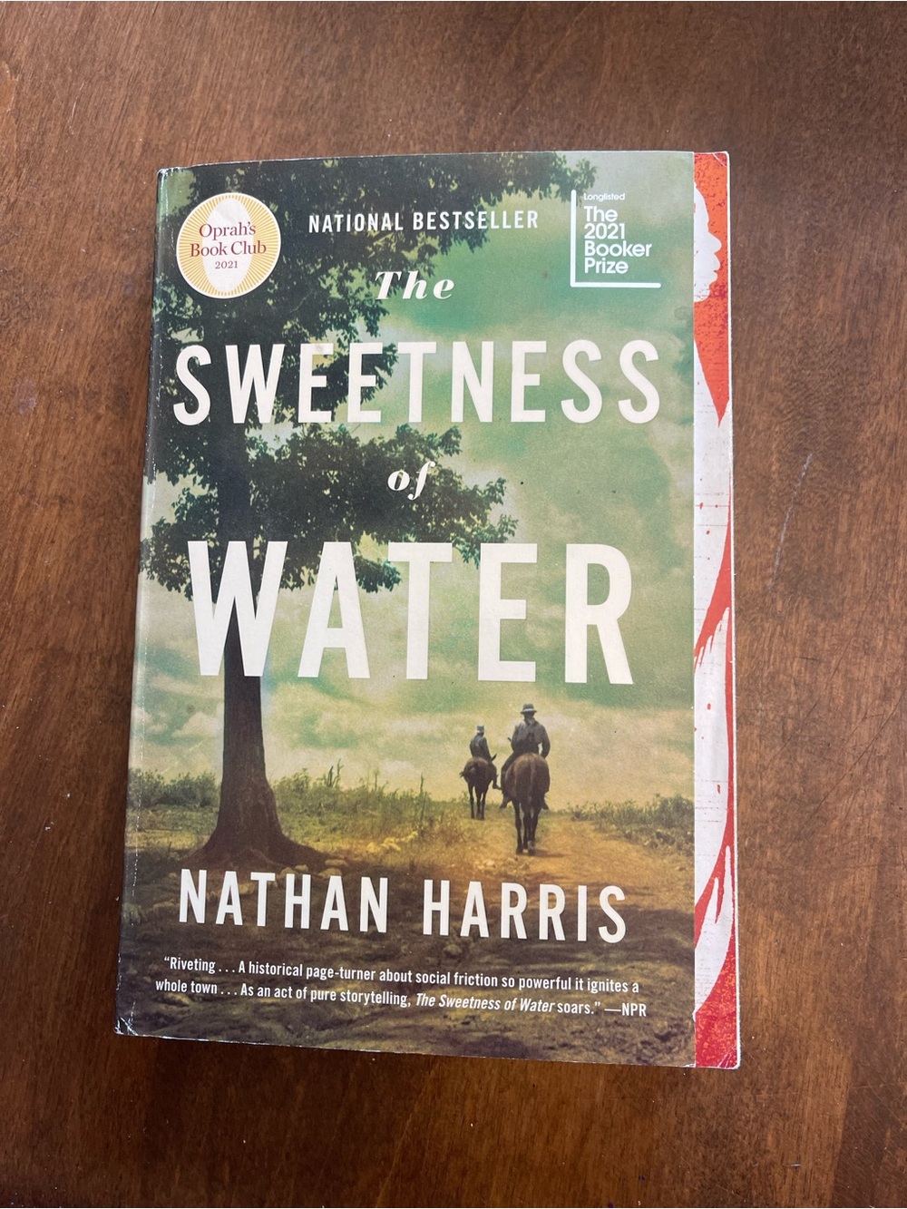 The Sweetness of Water by Nathan Harris - paperback